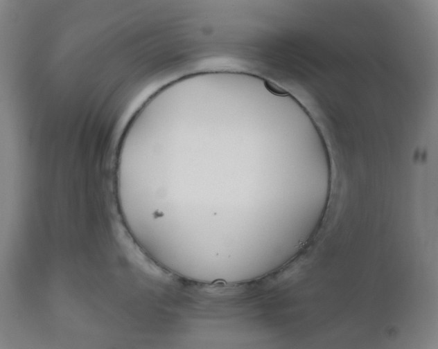 X0000112481008200909071152