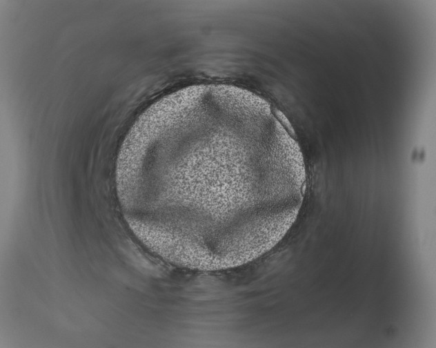 X0000112481009200909071151