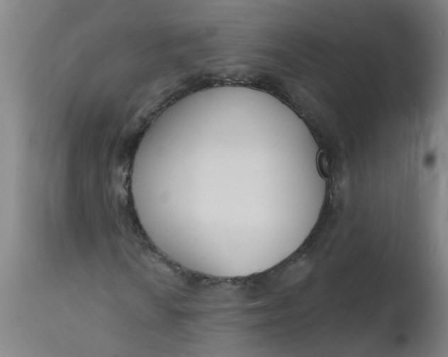 X0000112481010200909071151