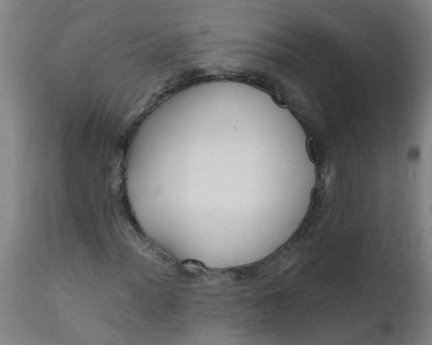 X0000112481012200909071151