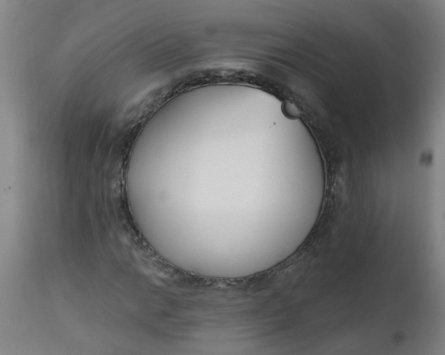 X0000112481014200909071152