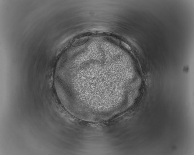 X0000112481015200909071152