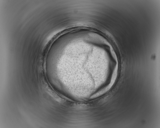 X0000112481019200909071152