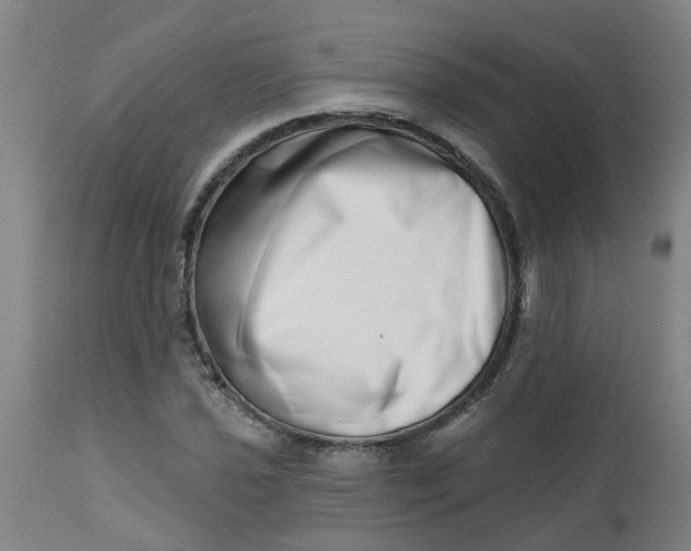 X0000112481021200909071152