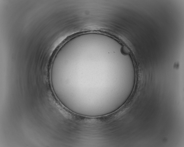 X0000112481023200909071152