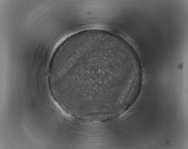 X0000112481024200909071152