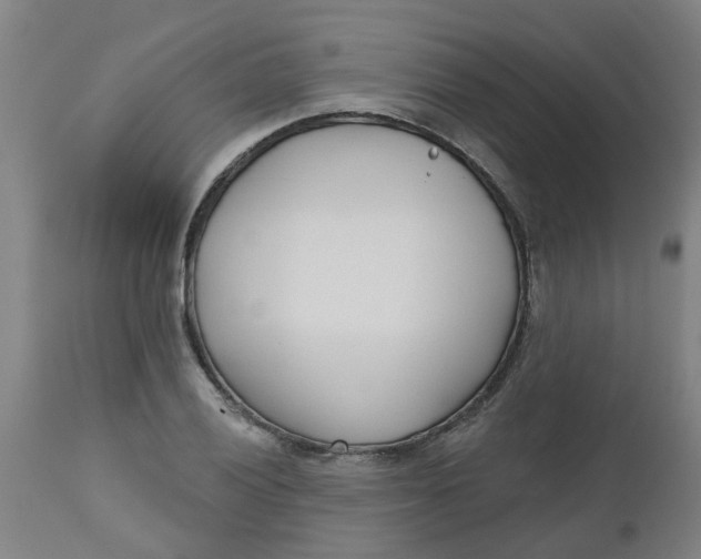 X0000112481028200909071152