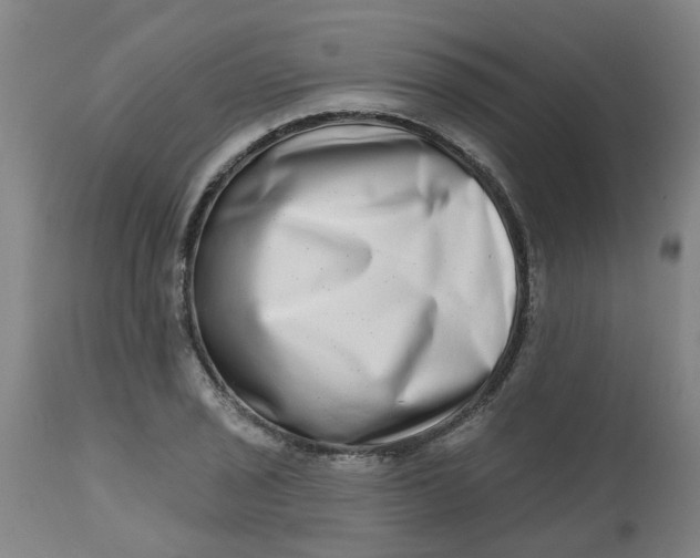 X0000112481029200909071152