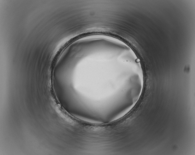 X0000112481030200909071152