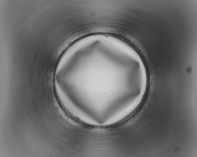 X0000112481033200909071152