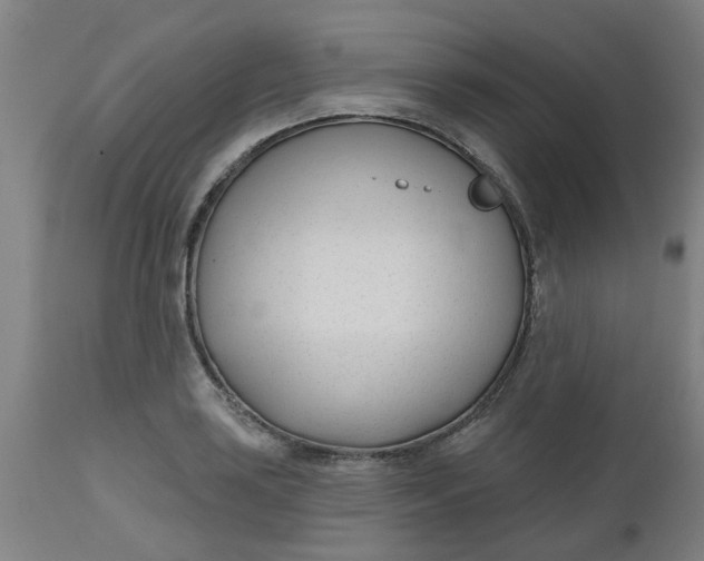 X0000112481035200909071152