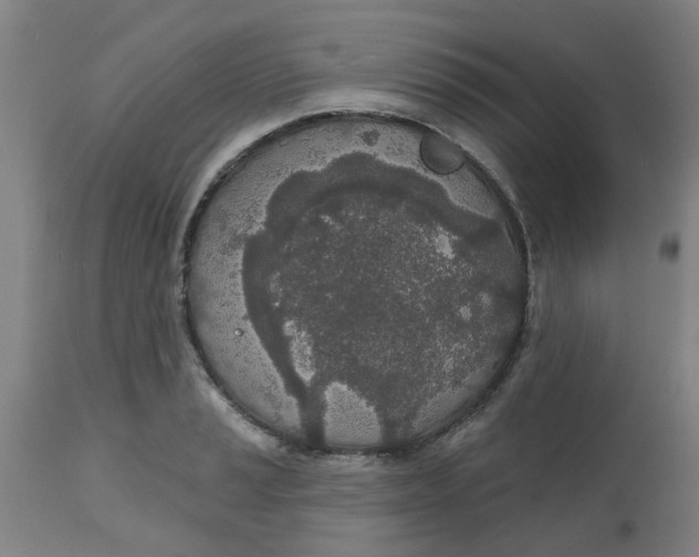 X0000112481037200909071152