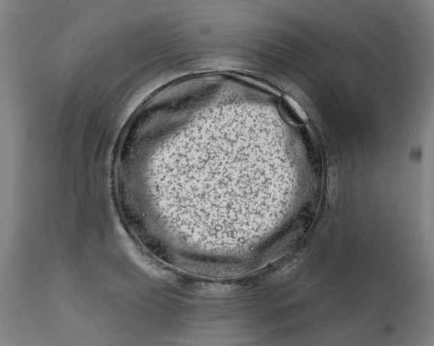 X0000112481039200909071152