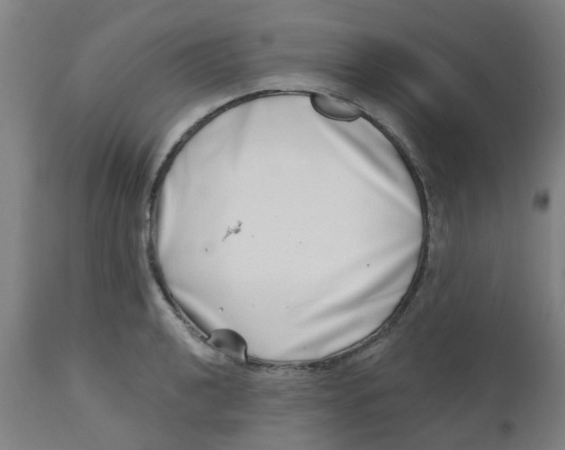 X0000112481040200909071152