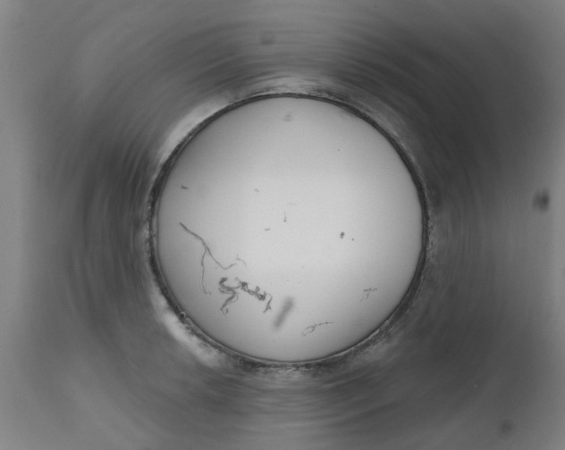 X0000112481042200909071152