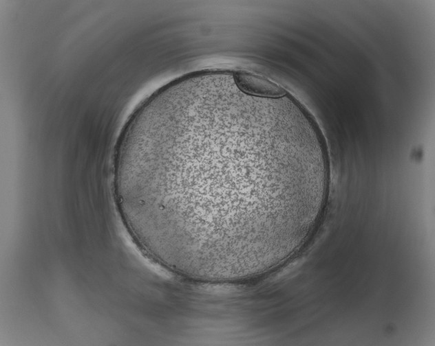 X0000112481045200909071152