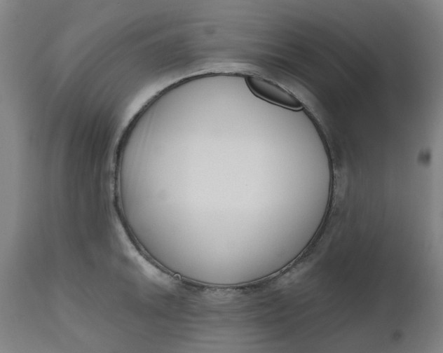 X0000112481046200909071152