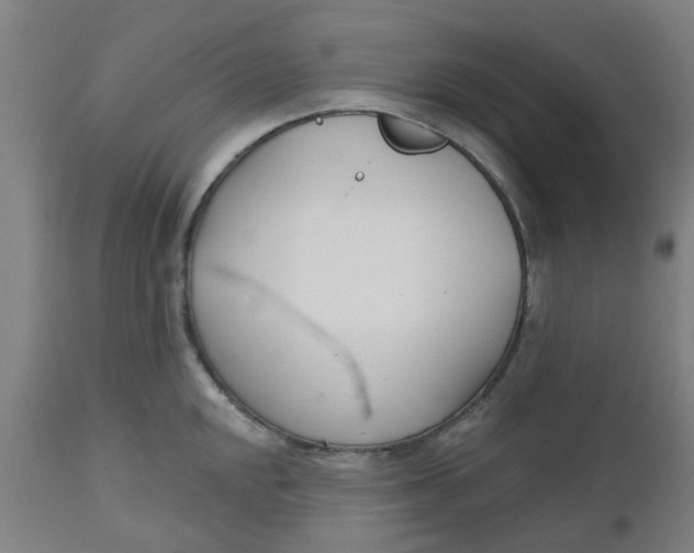 X0000112481048200909071152