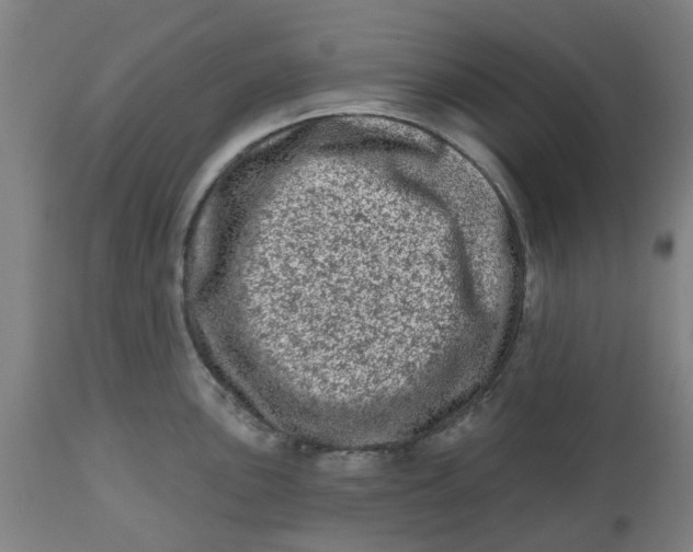 X0000112481051200909071152