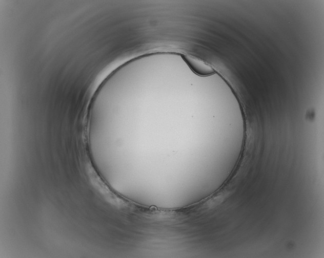 X0000112481052200909071152