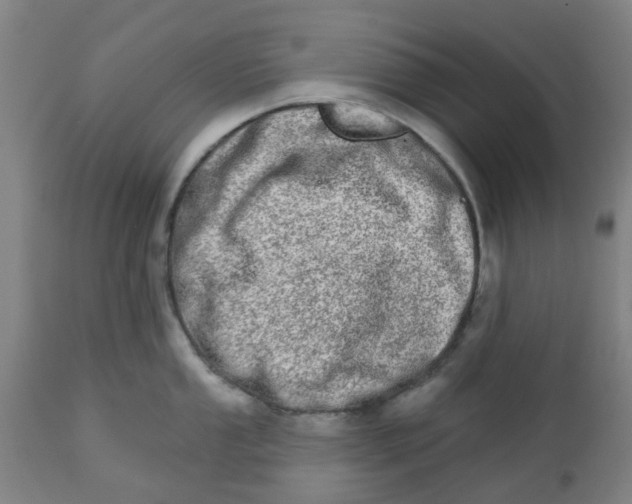 X0000112481053200909071152