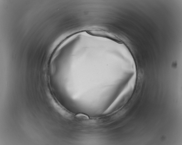 X0000112481054200909071152