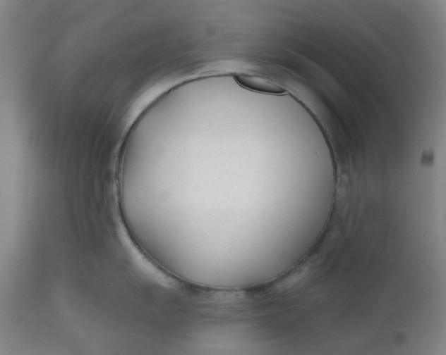 X0000112481055200909071152