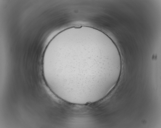 X0000112481056200909071152