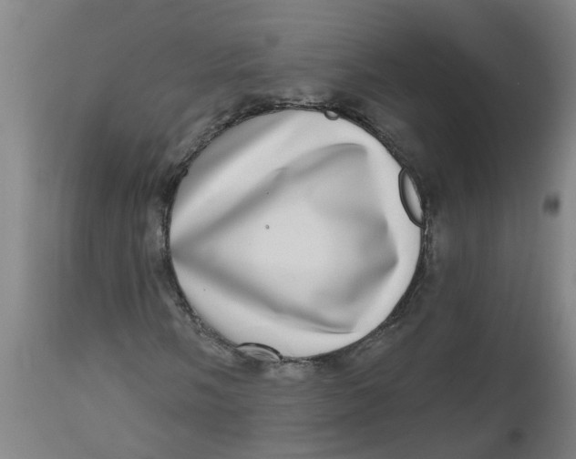 X0000112481058200909071151