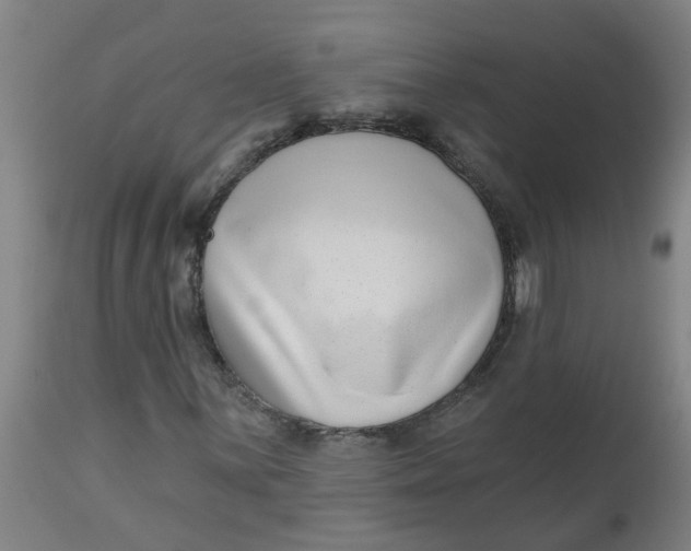 X0000112481059200909071151