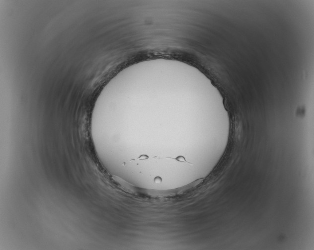 X0000112481060200909071151