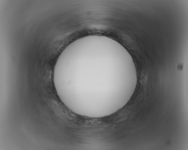 X0000112481061200909071151