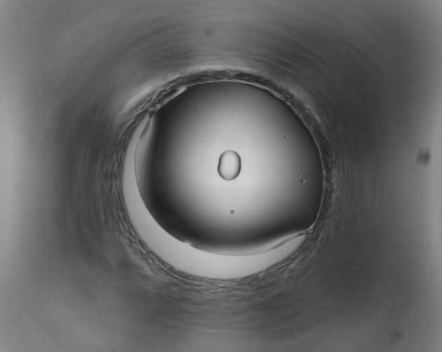 X0000112481064200909071151