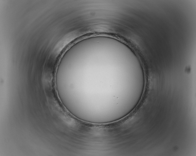 X0000112481065200909071151