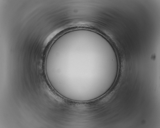 X0000112481066200909071151