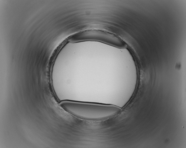 X0000112481068200909071151