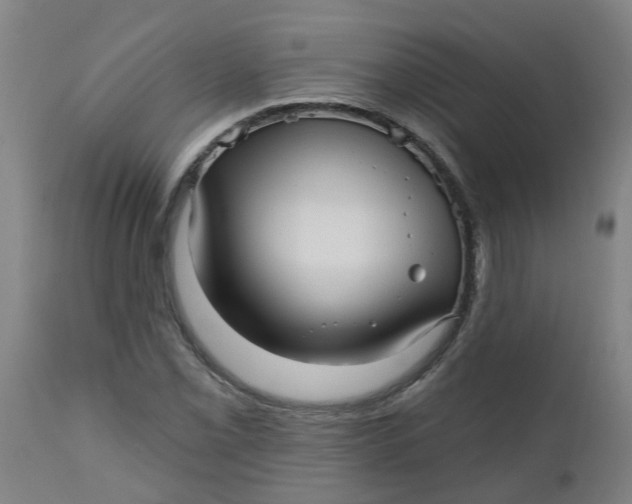 X0000112481069200909071151