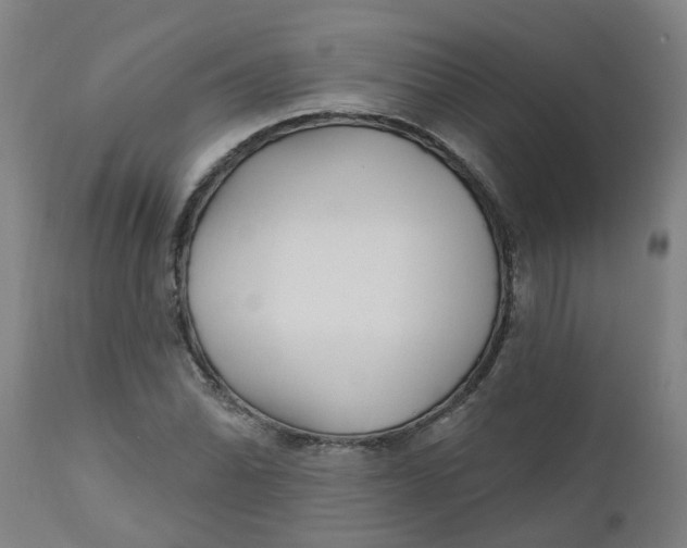 X0000112481070200909071151