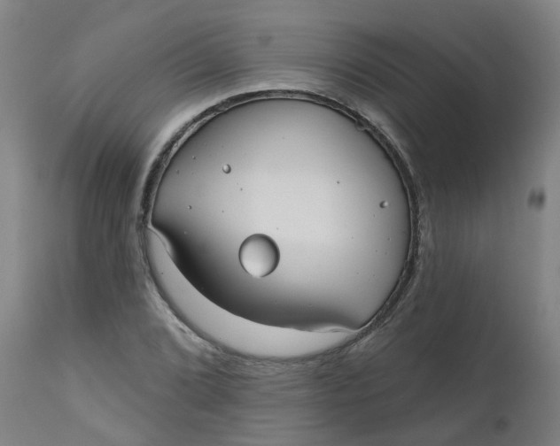 X0000112481072200909071151