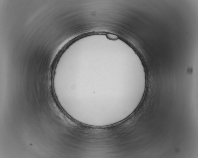 X0000112481076200909071151