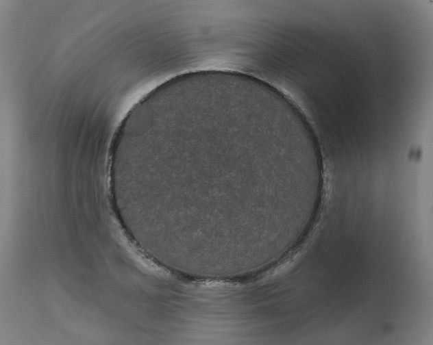 X0000112481077200909071151