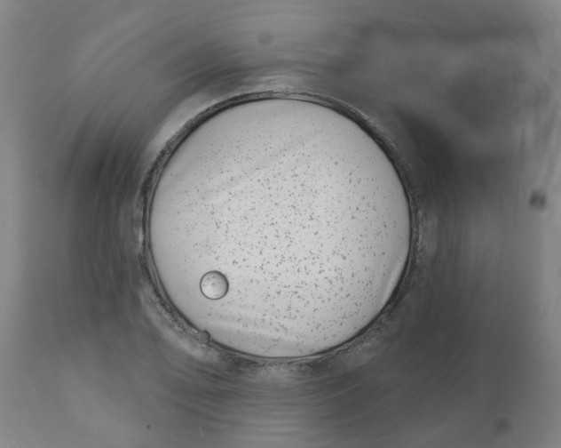 X0000112481078200909071151