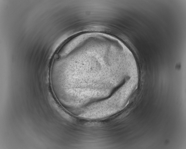 X0000112481083200909071151