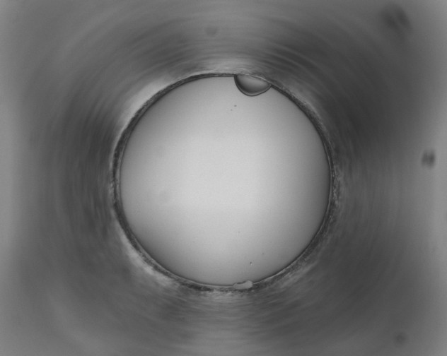 X0000112481087200909071151