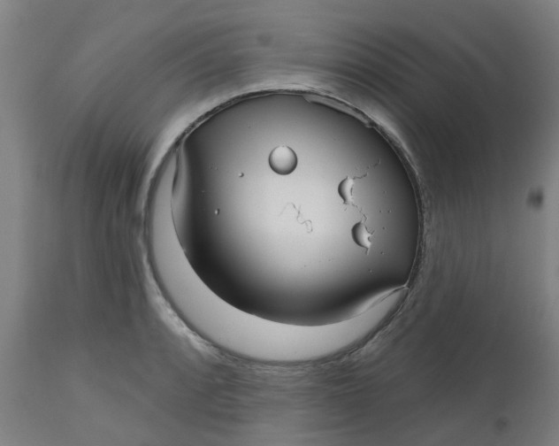 X0000112481088200909071151