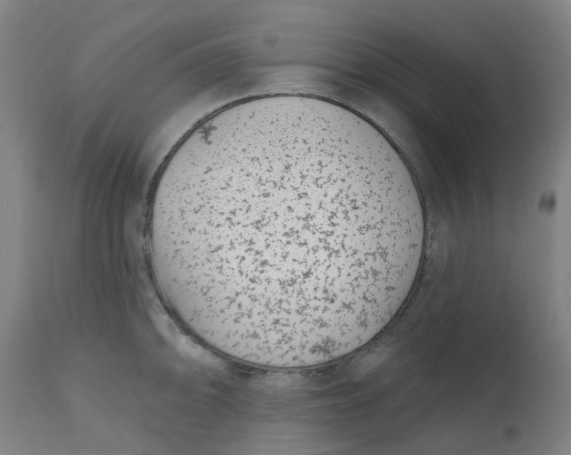 X0000112481094200909071151