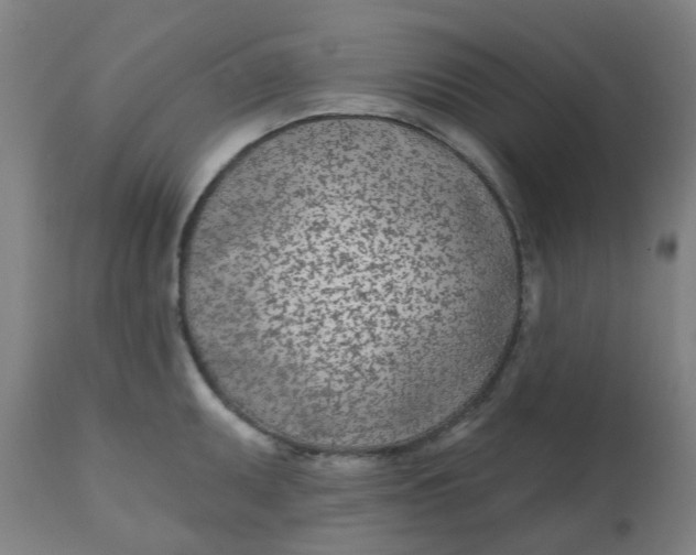 X0000112481095200909071151