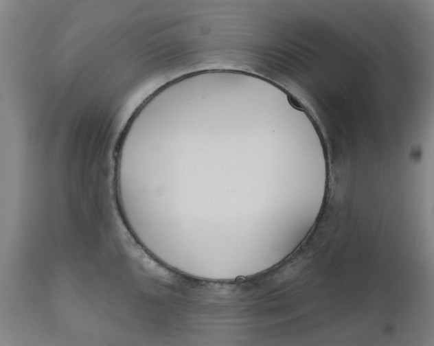 X0000112481096200909071151