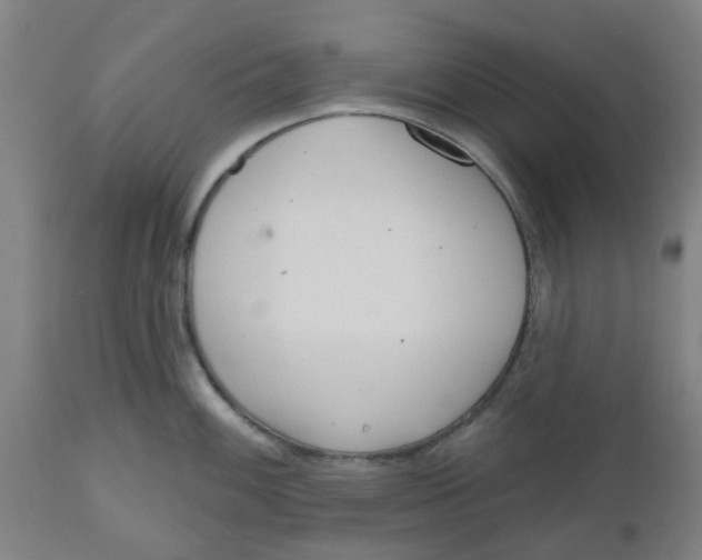 X0000112481100200909071151