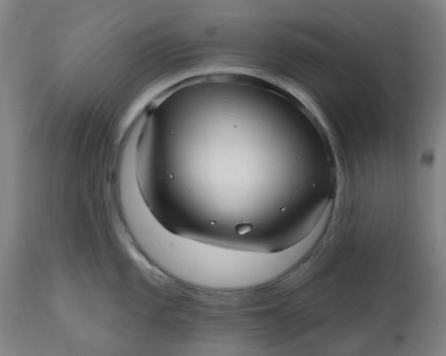 X0000112481101200909071151